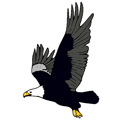 Dibujo de Águila volando pintado por Colorida en Dibujos.net el ... Dibujo de Águila volando pintado por Colorida en Dibujos.net el ...