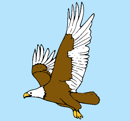 Dibujo de Águila volando pintado por Gatita en Dibujos.net el día ... Dibujo de Águila volando pintado por Gatita en Dibujos.net el día ...