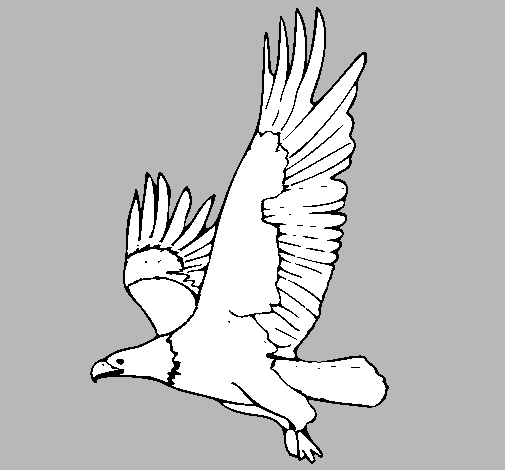 Dibujo de Águila volando pintado por Oscar456 en Dibujos.net el ... Dibujo de Águila volando pintado por Oscar456 en Dibujos.net el ...