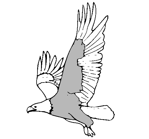 Dibujo de Águila volando pintado por Vicky1 en Dibujos.net el día ... Dibujo de Águila volando pintado por Vicky1 en Dibujos.net el día ...