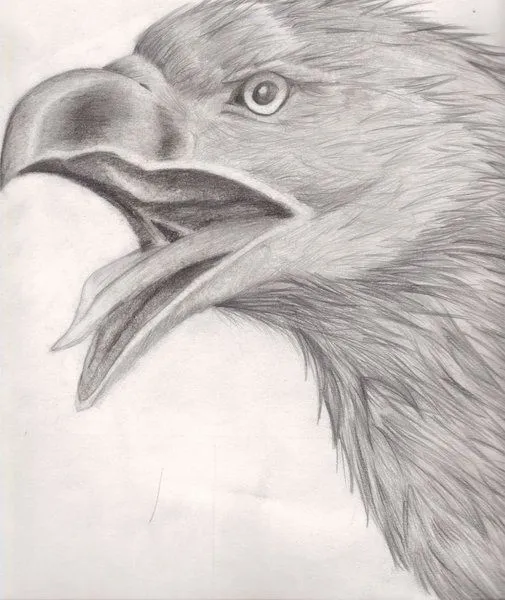 Dibujos sombreados a lapiz de animales - Imagui Dibujos sombreados a lapiz de animales - Imagui