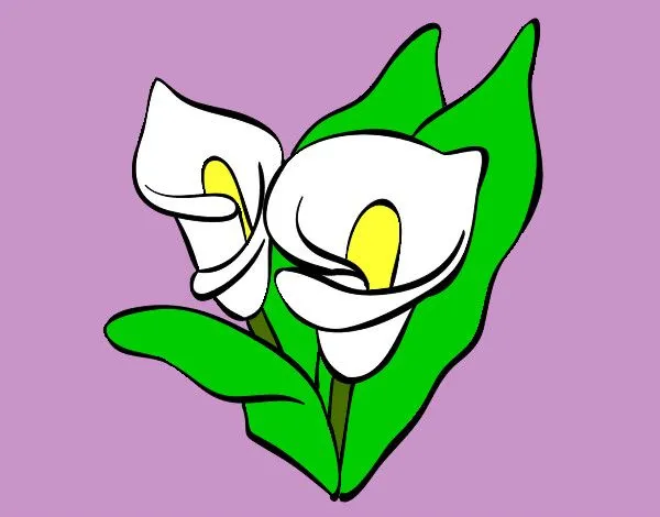 Dibujo de Mis alcatraces de purificación pintado por Vaneeli en ...