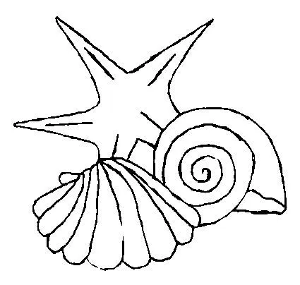 Imagenes infantiles algas marinas - Imagui