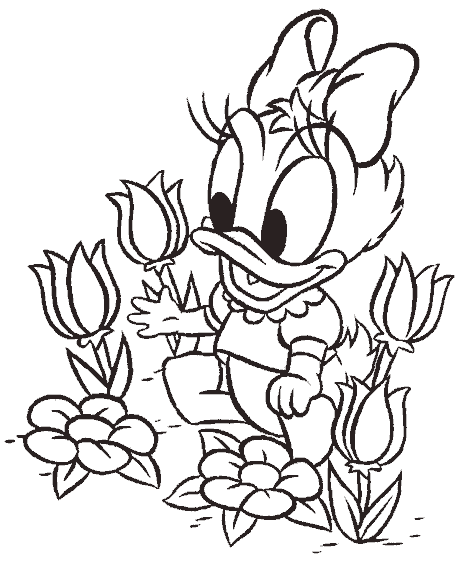 daisy_baby.gif