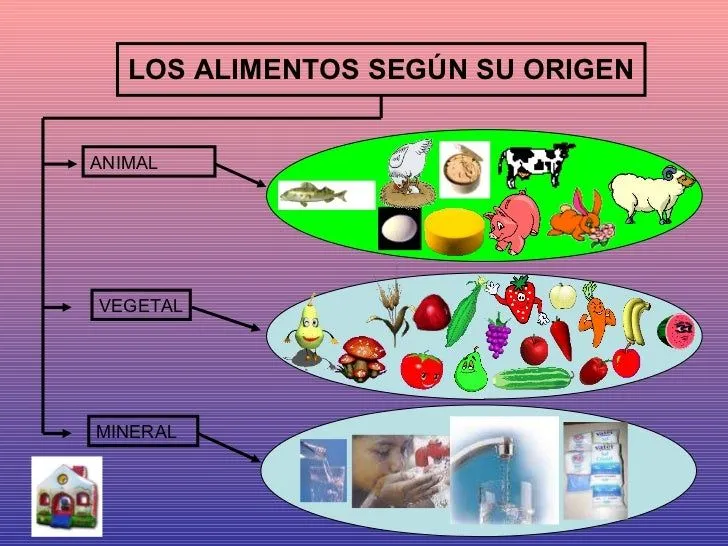 Dibujo de los alimentos segun su origen, animal vegetal y mineral ...