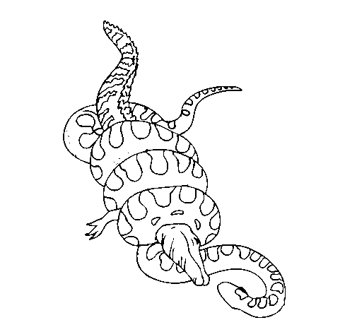Dibujo de Anaconda y caimán para Colorear - Dibujos.net