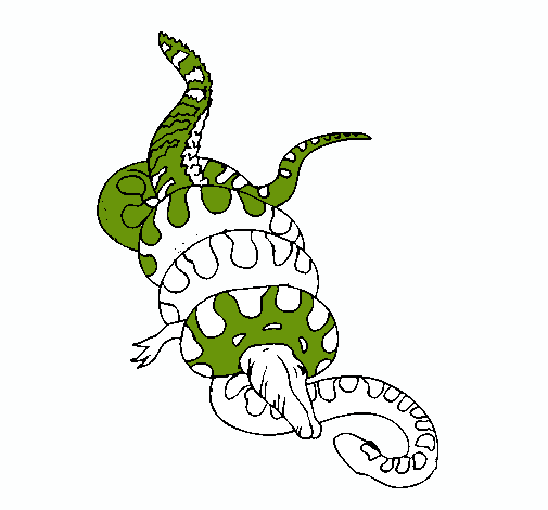 Dibujo de Anaconda y caimán pintado por Lauralopez en Dibujos.net ...