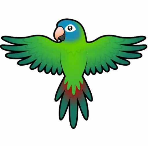 Dibujo animado Conure/Lorikeet/loro Imán Fotoescultura | Zazzle