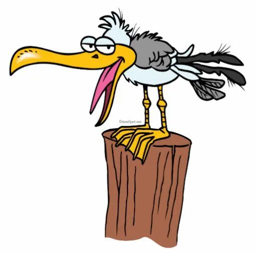 dibujo animado tonto de la gaviota llavero fotográfico | Zazzle dibujo animado tonto de la gaviota llavero fotográfico | Zazzle