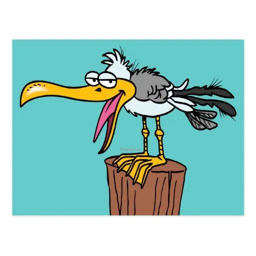 dibujo animado tonto de la gaviota tarjeta postal | Zazzle dibujo animado tonto de la gaviota tarjeta postal | Zazzle