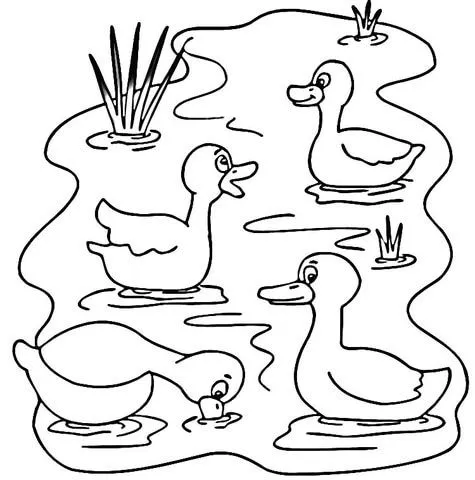 Dibujo de Animales de Estanque para colorear | Dibujos para ... Dibujo de Animales de Estanque para colorear | Dibujos para ...