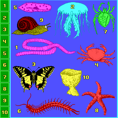 Animales vertebrados y dibujos - Imagui