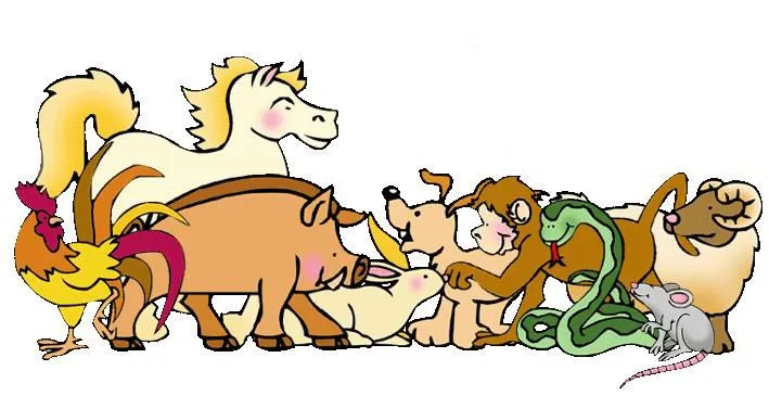 Animales Asombrosos: TIPOS DE ANIMALES..!!! Animales Asombrosos: TIPOS DE ANIMALES..!!!