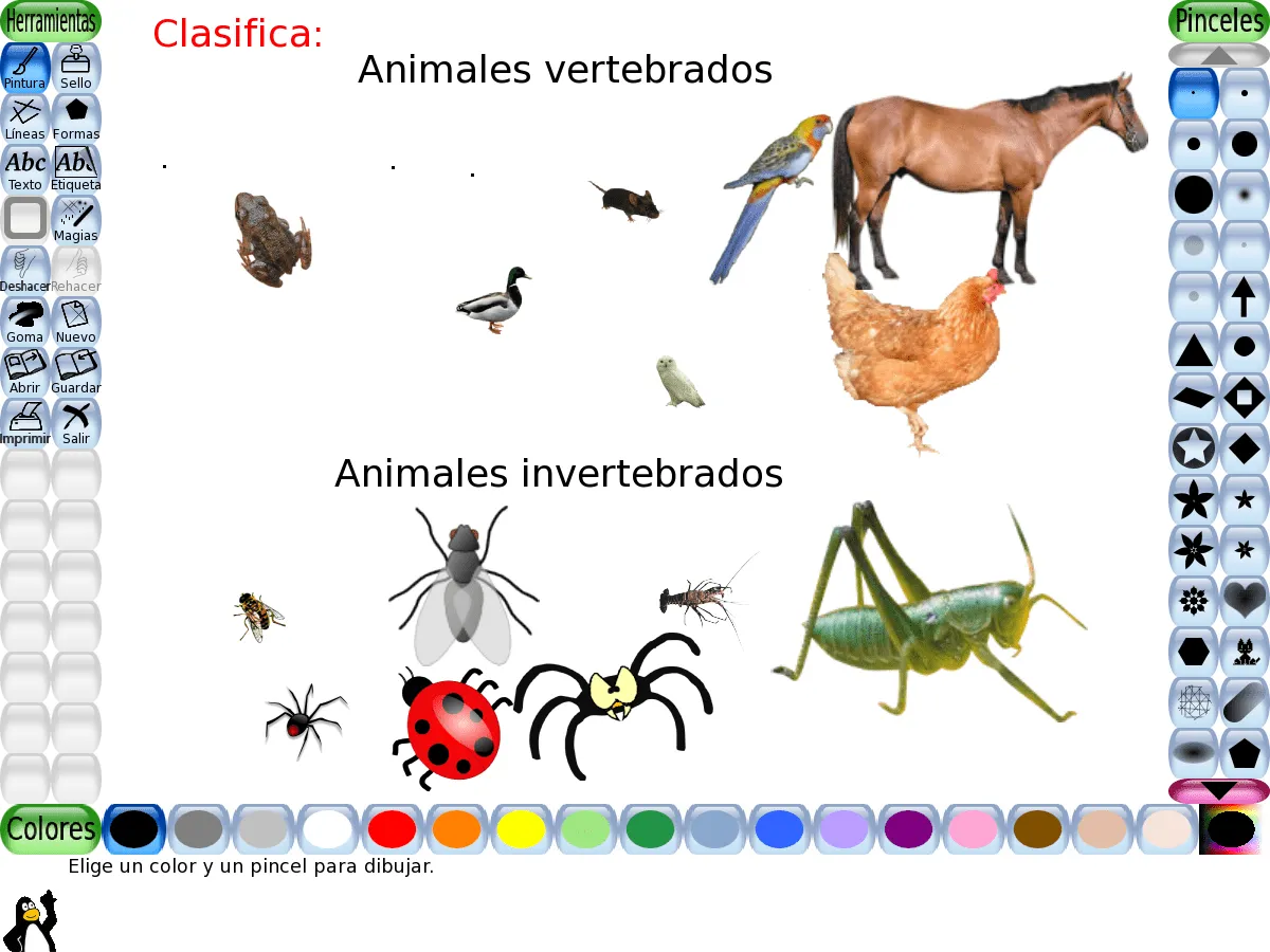 Dibujo de animales vertebrados y invertebrados - Imagui
