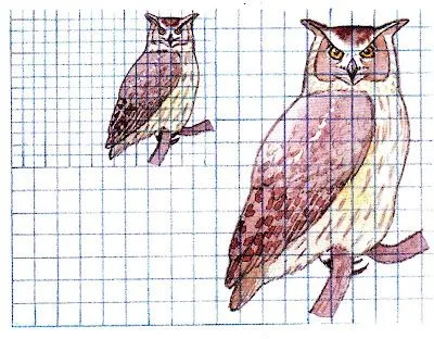 Dibujo Antonio Sequeros: Tema 13 Proporcionalidad Dibujo Antonio Sequeros: Tema 13 Proporcionalidad