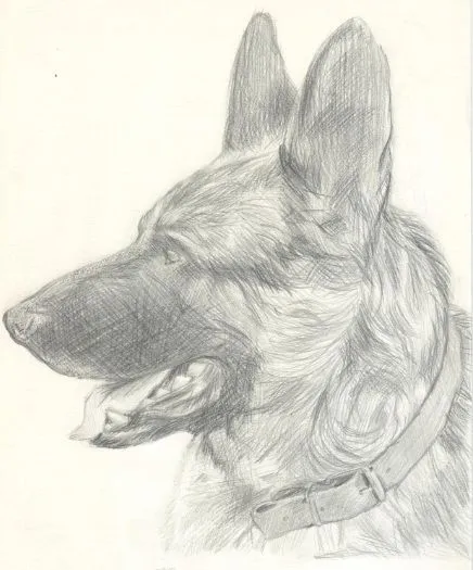 Dibujo de aplicación de línea alumna Irene Bombillar 2 ...