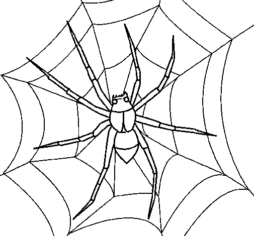 Dibujo de Araña para Colorear - Dibujos.net