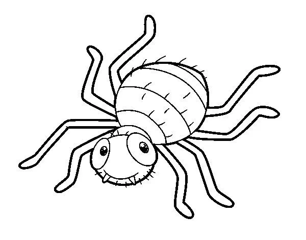 Dibujo de Araña infantil para Colorear - Dibujos.net Dibujo de Araña infantil para Colorear - Dibujos.net