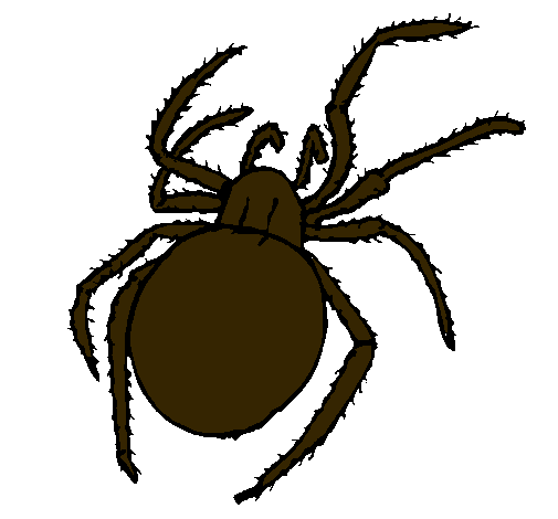 Dibujo de Araña venenosa pintado por Tarantula en Dibujos.net el ...