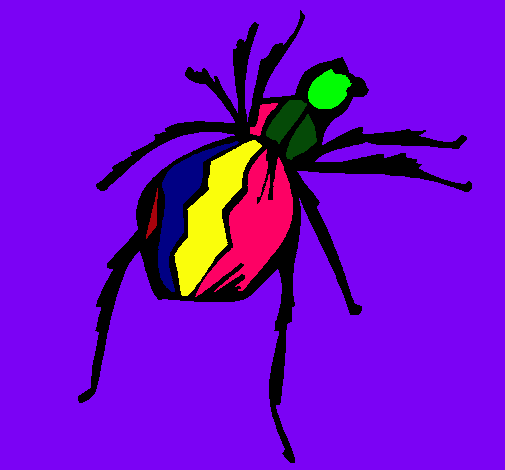 Dibujo de Araña viuda negra pintado por Joselinne en Dibujos.net ...