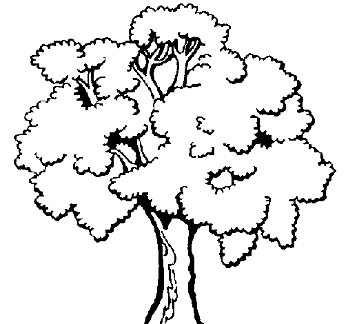 Dibujo de Árbol 1 para Colorear - Dibujos.net