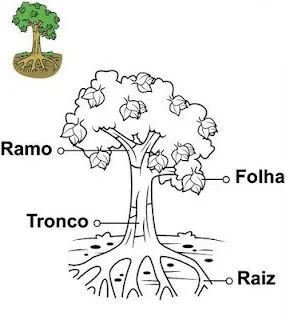 COLOREA TUS DIBUJOS: Plantas para colorear