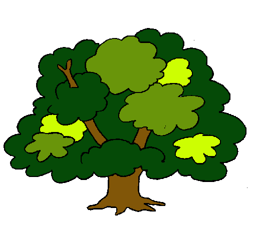 Dibujo de Árbol pintado por Auchi en Dibujos.net el día 24-11-10 a ... Dibujo de Árbol pintado por Auchi en Dibujos.net el día 24-11-10 a ...