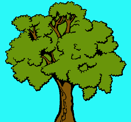 Dibujo de Árbol pintado por Carlos en Dibujos.net el día 04-12-10 ... Dibujo de Árbol pintado por Carlos en Dibujos.net el día 04-12-10 ...