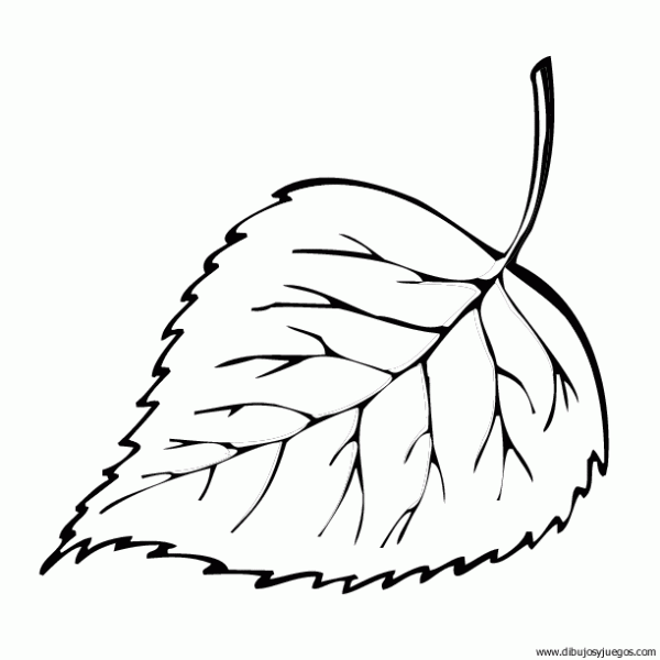Imagen de una hoja de arbol para colorear - Imagui Imagen de una hoja de arbol para colorear - Imagui