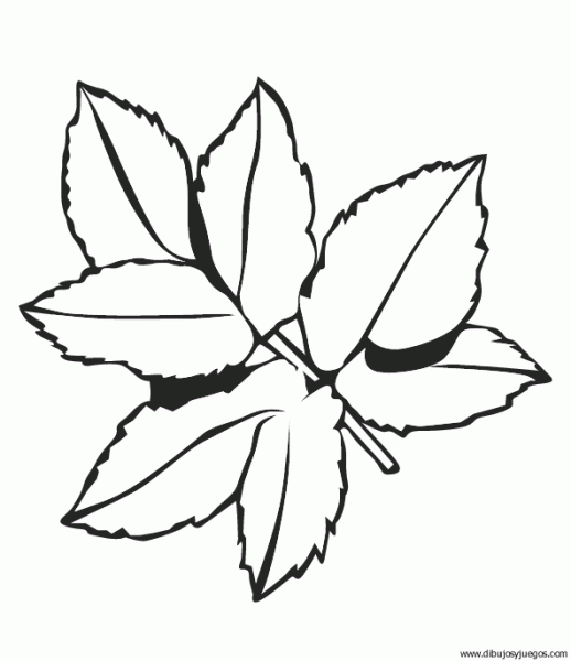 dibujo-arboles-hojas-016 | Dibujos y juegos, para pintar y colorear