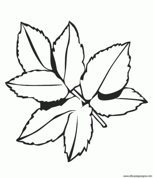 dibujo-arboles-hojas-016 | Dibujos y juegos, para pintar y colorear dibujo-arboles-hojas-016 | Dibujos y juegos, para pintar y colorear