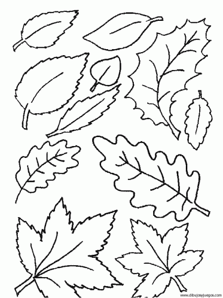 dibujo-arboles-hojas-042 | Dibujos y juegos, para pintar y colorear dibujo-arboles-hojas-042 | Dibujos y juegos, para pintar y colorear