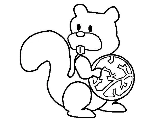 Dibujo de Ardilla con una nuez para Colorear - Dibujos.net