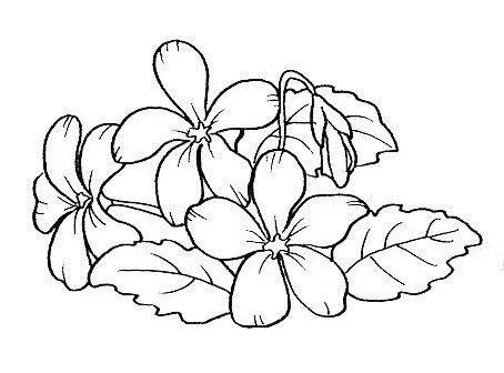 MANUALIDADES: DIBUJO DE FLORES PARA COLOREAR MANUALIDADES: DIBUJO DE FLORES PARA COLOREAR