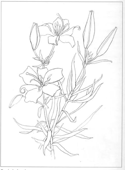 DIBUJO ARTÍSTICO 1: Actividad 10.- Dibujar contornos de una ramita ...