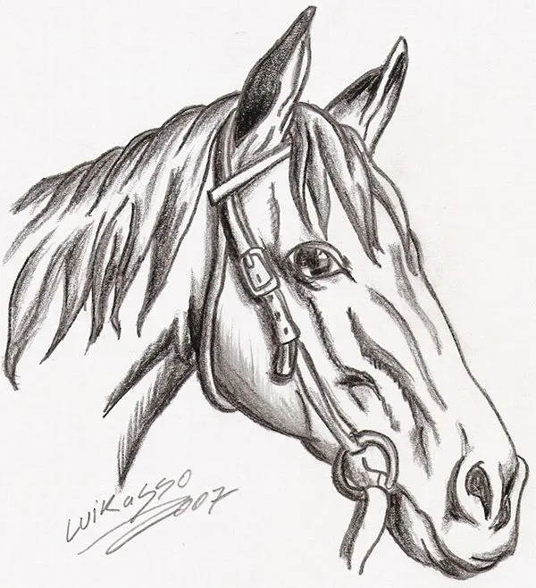 Dibujo Artistico y Natural on Behance