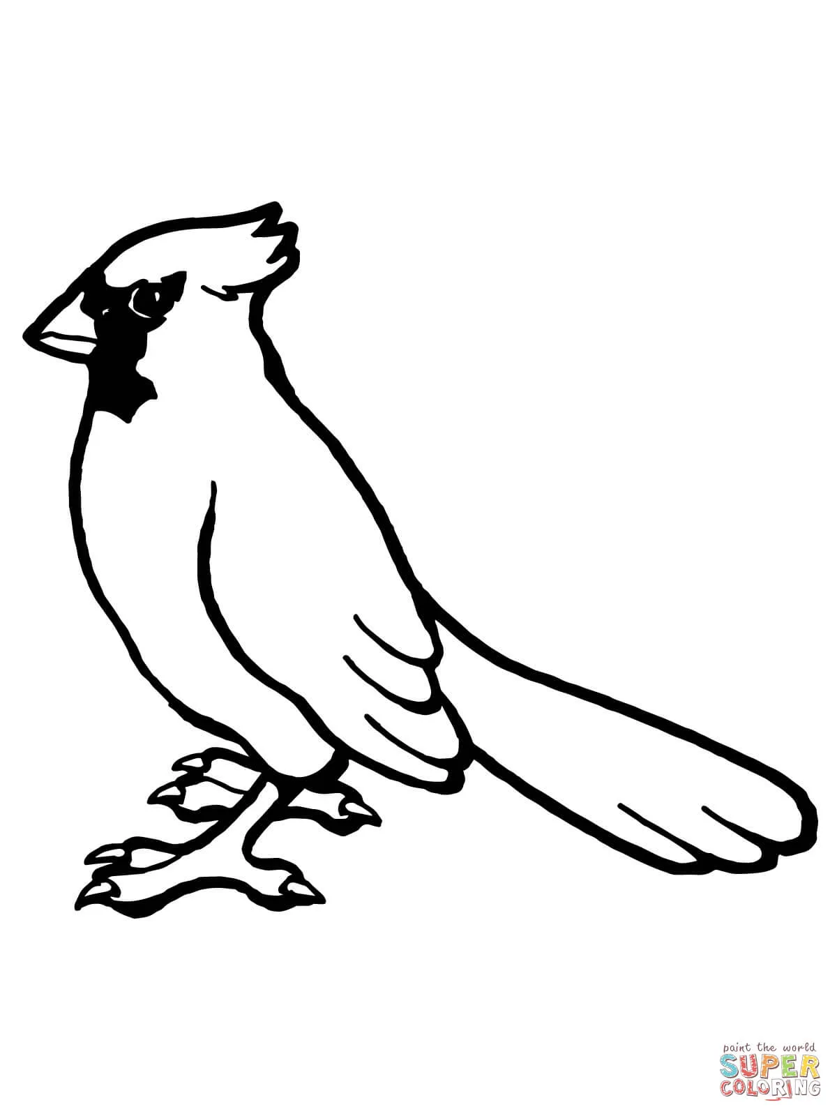 Dibujo de Ave, Cardenal Norteño para colorear | Dibujos para colorear imprimir gratis Dibujo de Ave, Cardenal Norteño para colorear | Dibujos para colorear imprimir gratis