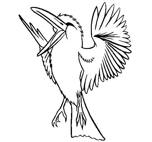 Dibujo de Ave revoltosa para Colorear - Dibujos.net Dibujo de Ave revoltosa para Colorear - Dibujos.net