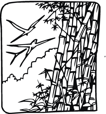 Dibujo de Aves y Cañas de Bambú para colorear | Dibujos para ... Dibujo de Aves y Cañas de Bambú para colorear | Dibujos para ...