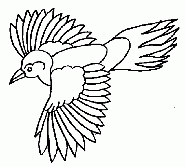 Dibujo de Aves para colorear. Dibujos infantiles de Aves. Colorear ...