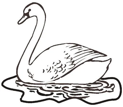 Dibujo de aves para pintar - Imagui