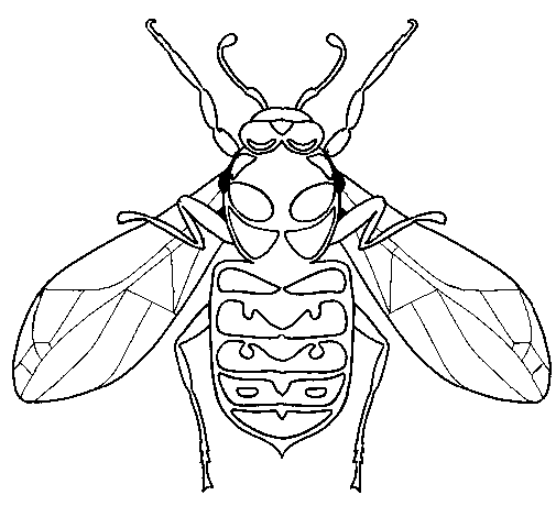 Dibujo de Avispa para Colorear - Dibujos.net Dibujo de Avispa para Colorear - Dibujos.net