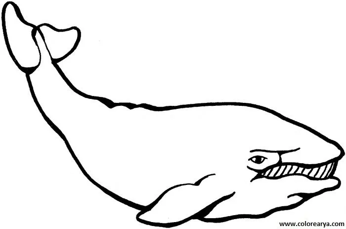 Dibujos para colorear y pintar para los niños Dibujos para colorear y pintar para los niños