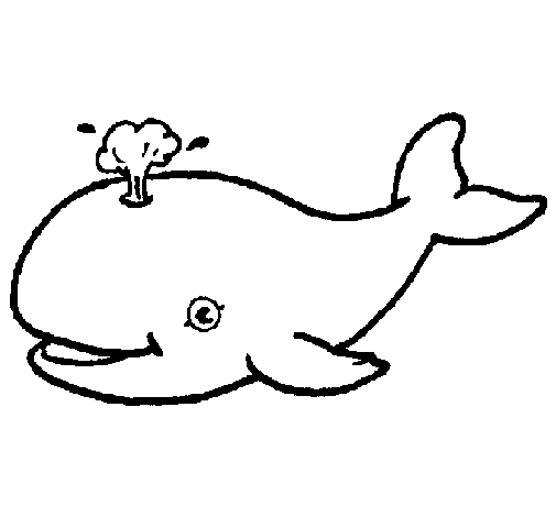 Dibujo de Ballena expulsando agua para Colorear - Dibujos.net