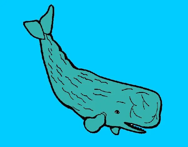 Dibujo de Ballena grande pintado por Antitto en Dibujos.net el día ... Dibujo de Ballena grande pintado por Antitto en Dibujos.net el día ...