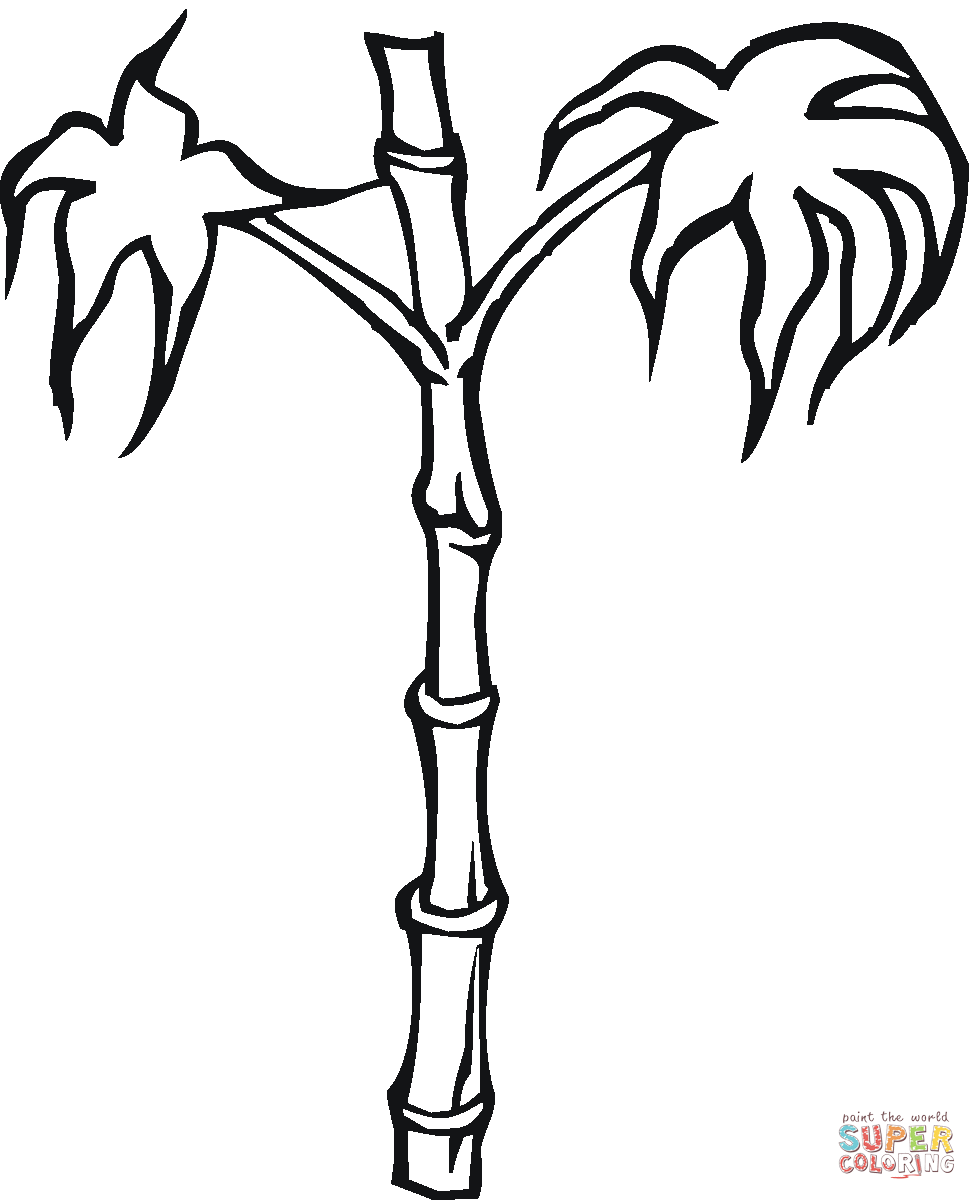 Dibujo de Bambú para colorear | Dibujos para colorear imprimir gratis Dibujo de Bambú para colorear | Dibujos para colorear imprimir gratis