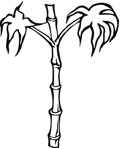 Dibujo de Bambú para colorear | Dibujos para colorear imprimir gratis Dibujo de Bambú para colorear | Dibujos para colorear imprimir gratis