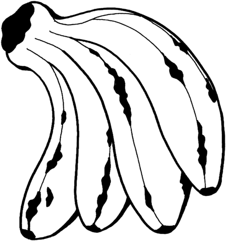 Dibujo de Algunas Bananas para colorear | Dibujos para colorear ...