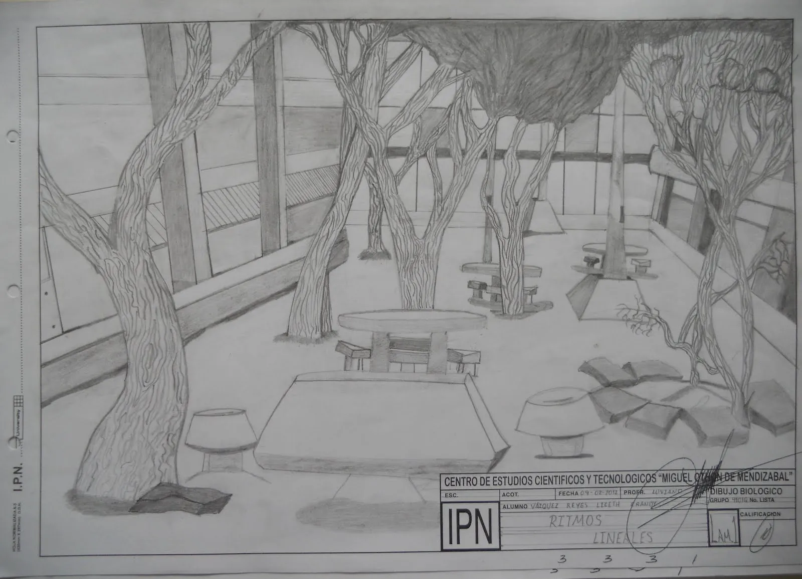 Dibujo Biológico: LÁMINA 1 DIBUJANDO EL PATIO DE LA ESCUELA