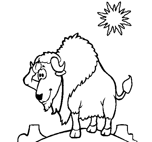 Dibujo de Bisonte en el desierto para Colorear - Dibujos.net